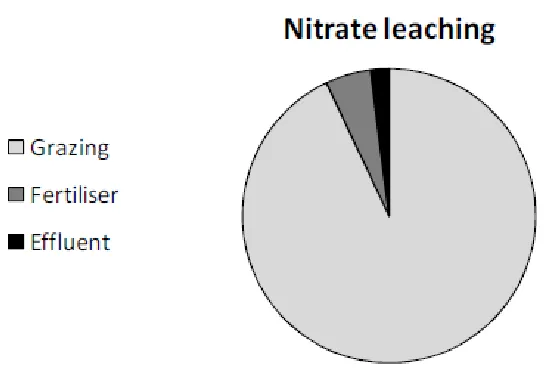 Figure 2-2 Sources of nitrate leaching in intensive dairy systems. 