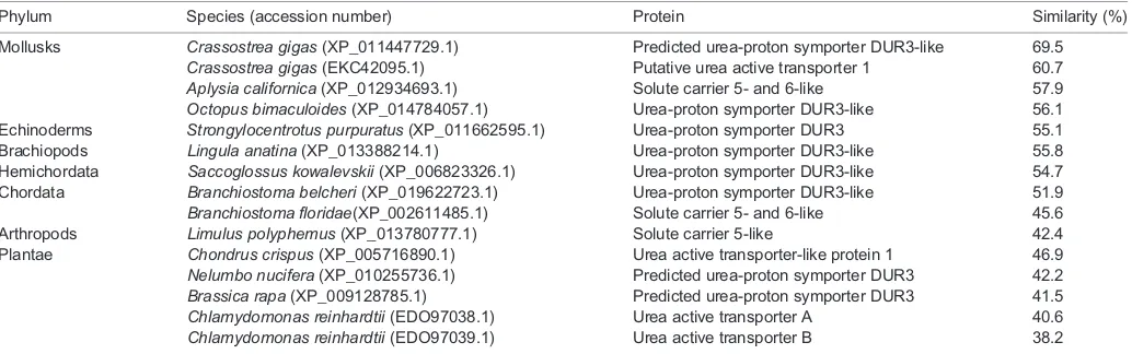 Table 1. Percentage similarity between the deduced amino acid sequence of DUR3-like from Tridacna squamosa and sequences of urea activetransporters from other species obtained from GenBank