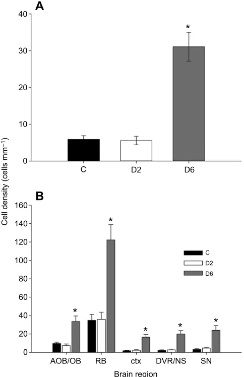 Fig. 3. Effects of treatment on new cell density. (A) Mean (±s.e.m.) overall