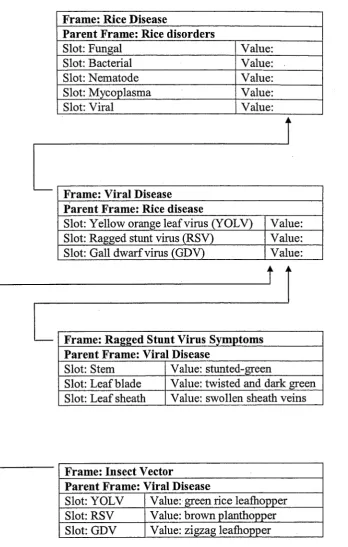 Figure 2.4 Partial frame representations for a rice viral disease. 