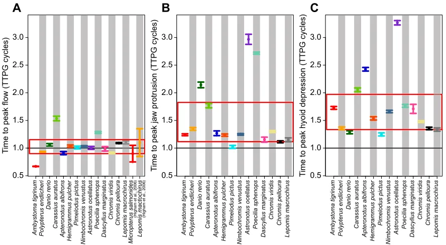 Fig. 6. Variation in the timing of flow and strike kinematics during feeding strikes across species