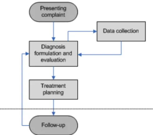 Figure 1. Hypothesis-driven model of decision making process 