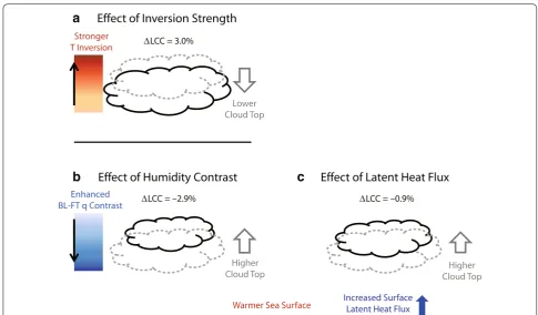Fig. 1 Summary of key processes associated with low cloud feedback. Dashed gray and solid black balloons represent low clouds over the subtropi-cal ocean in a base state and in a warmer condition, respectively
