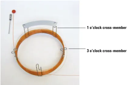 Figure 3 Column with 2 uncoiled loops