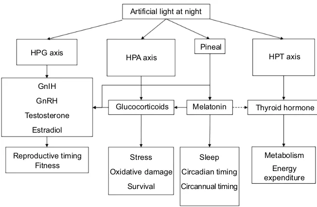 Fig. 2. Different endocrine axes affected byartificial light at night that lead to changes inpotential fitness components