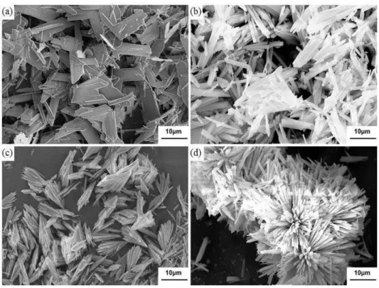 Fig.  1.  SEM  images  of  CSD  formed  from  CaCl 2  and  KAl(SO 4 ) 2 ·12H 2 O  in  water  (a)  and CMC solutions of 0.10% (b), 0.30% (c), 0.50% (d)