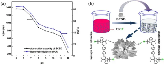 Fig. 6. (a) Effect of solution pH on the adsorption of CR onto BCSD at 303.5 K, (b)  Schematic depiction of the adsorption process and interaction between BCSD and CR