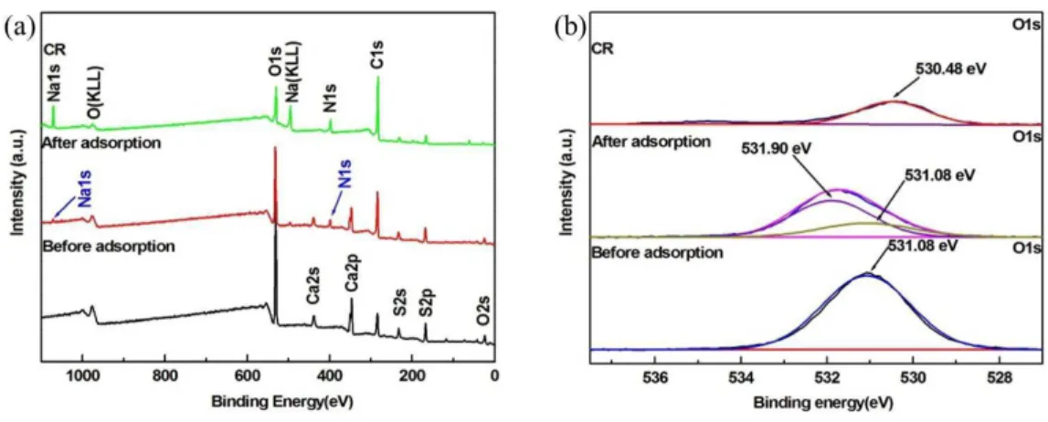 Fig.  10.  XPS  spectra  of BCSD, BCSD  after adsorption  and  CR.  (a)  Full scan;  (b)  O  1s