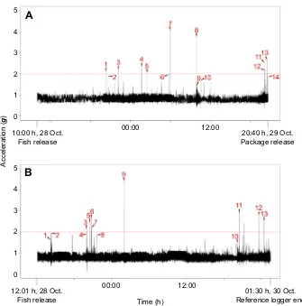 Fig. 3. Activations of the event loggers attachedto free-ranging yellowtail kingfish. A and B showdata from two different fish
