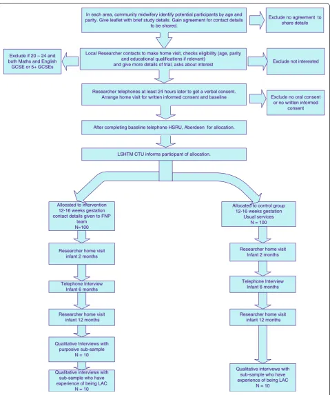Figure 1 Flow chart of participants.