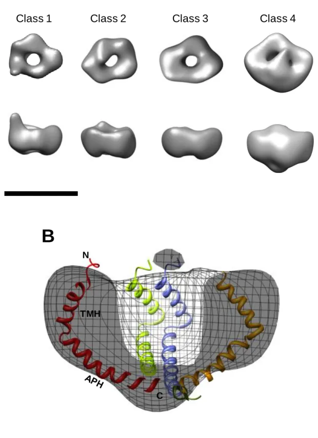 Figure  4 TMHNCBFigure 4