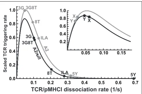 FIGURE 6 | Differential effects of CD8 modulation on functionalsensitivity. TCR triggering rate, scaled with respect to the optimal ligandunder MHC-limited conditions, as a function of k off, comparing the wild-typeMHCI/CD8 interaction (“A2”) to the abroga