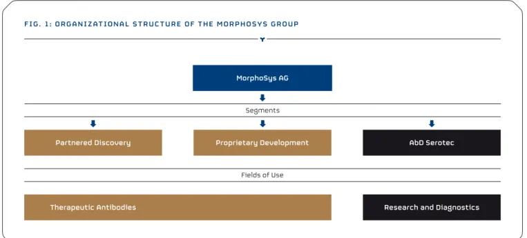 fig. 1: organizat ional struc turE of thE Morphosys group