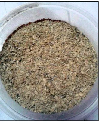 Figure 1.0: Rice Husk 