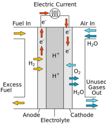 Figure 1. This is the swelling of starch, which is the main food biopolymer saturated with hydrogen (left), but swells in water that is saturated with oxygen (right); it should be noted that in water that is saturated with in the human diet