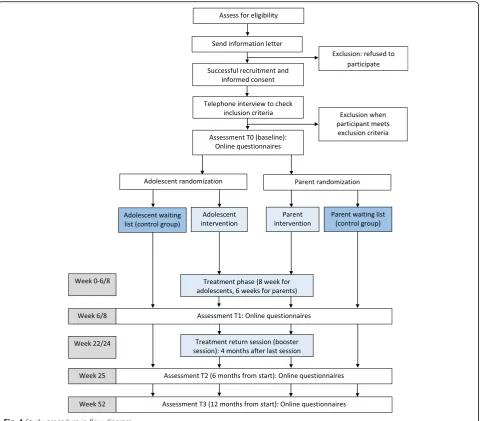 Fig. 1 Study procedure in flow diagram