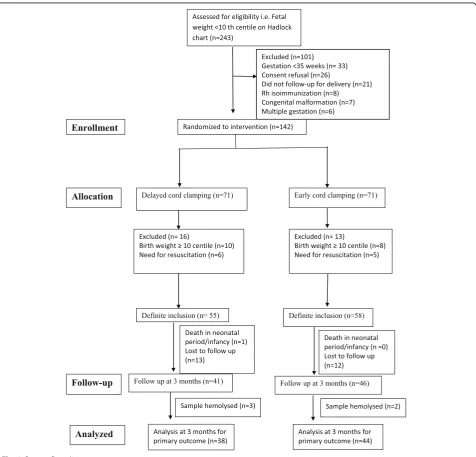 Fig. 1 Consort flow diagram