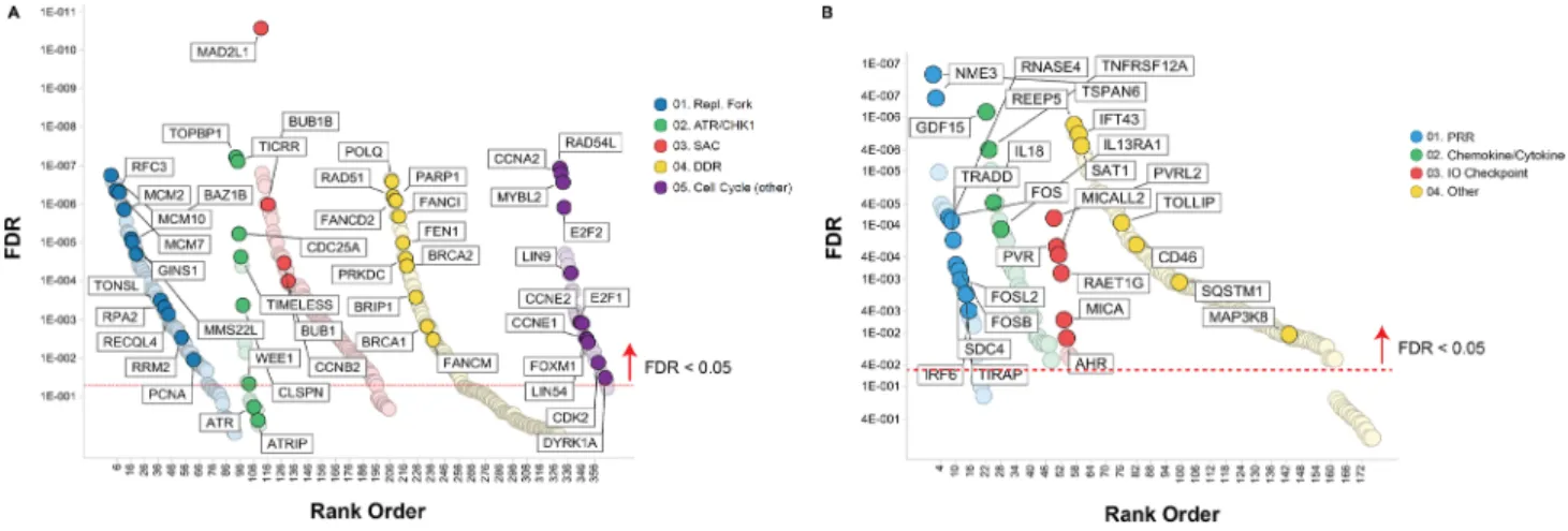 Figure 4:  Pathways associated with prexasertib sensitivity (A) or resistance (B) across pan-cancer cell line panel
