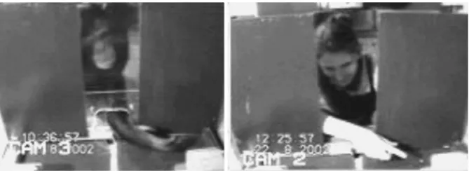 Fig. 1 A failed reach (left) and a helpful point (right). Reproduced from Hare and Tomasello (2004,p