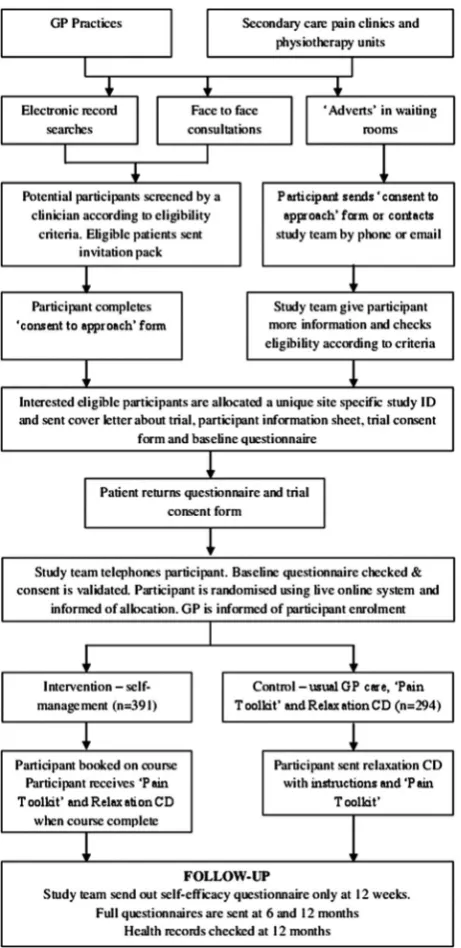 Figure 1Flow diagram of the study.