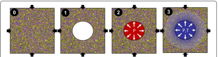 Fig. 9 Representations of the different steps of a simulation. (0) Application of the stress state on the numerical dolerite model