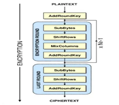 Figure 5 – Basic Structure of AES 
