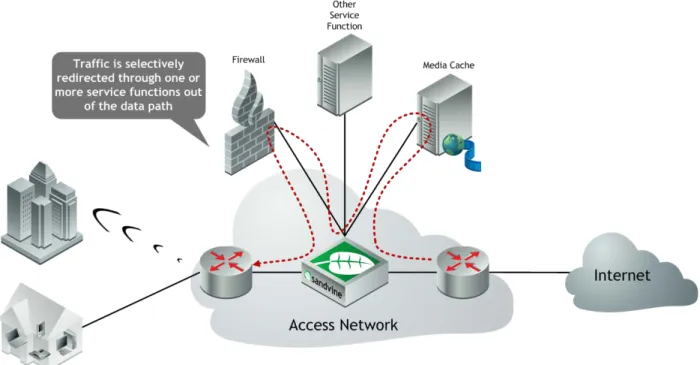 Figure 1 - Sandvine Divert in action: redirection is subscriber-, application-, and content type-aware, with  automatic load-balancing and health-checking of service function availability 