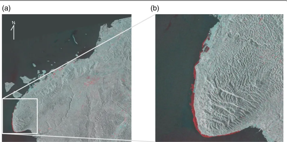 Figure 7 Shoreline changes derived by the additive color process. (a) Difference image of backscatter intensity
