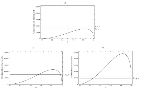 Fig. 10: ATP binding and hydrolysis by the ftsZ84 temperature-sensitive mutant. Solid line: Wild-type solution