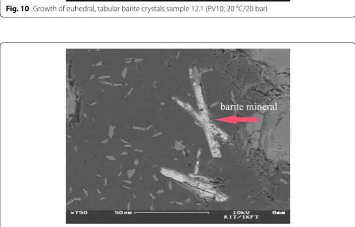 Fig. 11 Intergrowth of barite, sample 7.2 (PV07; 60 °C/20 bar)