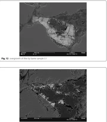 Fig. 12 overgrowth of illite by barite sample 3.1