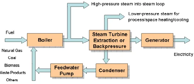 Figure 2-2  Combined Heat and Power Diagram – Indirect Fired 