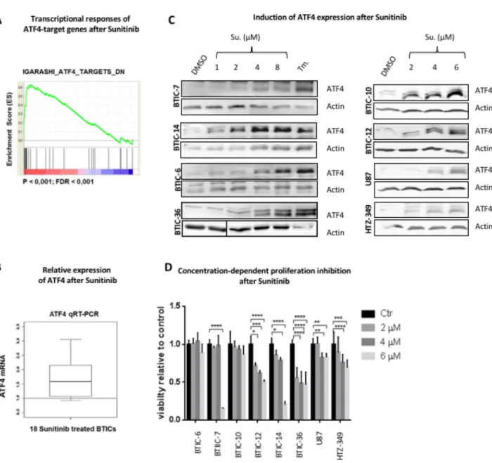 Figure 1: Expression of ATF4 after sunitinib treatment.  (A) Genome-scale gene expression in 18 BTIC lines before and after 
