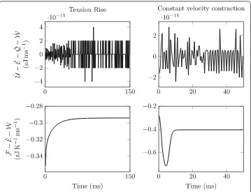 Fig. 8 Validation of the discrete thermodynamical balances in two test cases for the Huxley’57 model