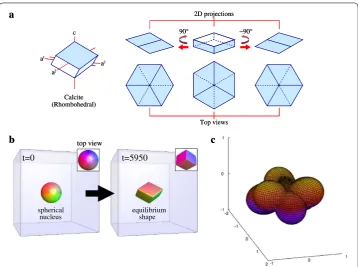 Fig. 1 and top views [adapted from open source Imperial College London (anisotropy for 3D numerical studies