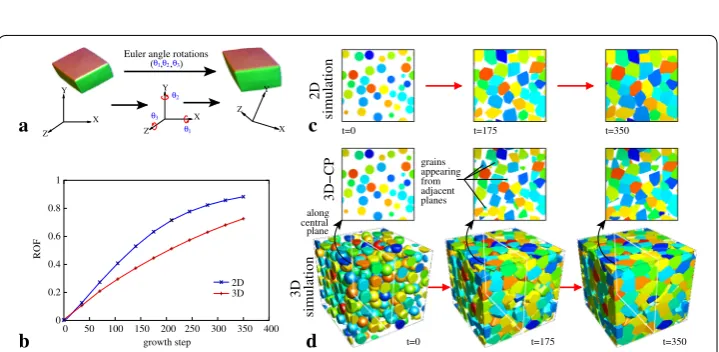 Fig. 2 Initial fillings of 2D and 3D computational domains. tion generating algorithm