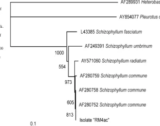Table 1. List of the fungal isolates from the decayed wood of Shorea smithiana stem canker and fungal species deduced from their internal transcribed spacer sequences