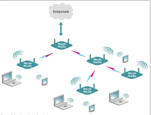 Figure 1 Multi-radio wireless mesh network.