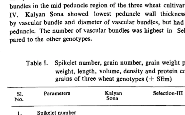 Table I.   Spikelet number, grain number. grain weight per ear and mean weight, length, volume, density and protein content in basal 
