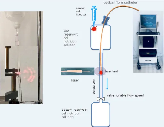Figure 1 shows a scheme of the flow calibration apparatus. 