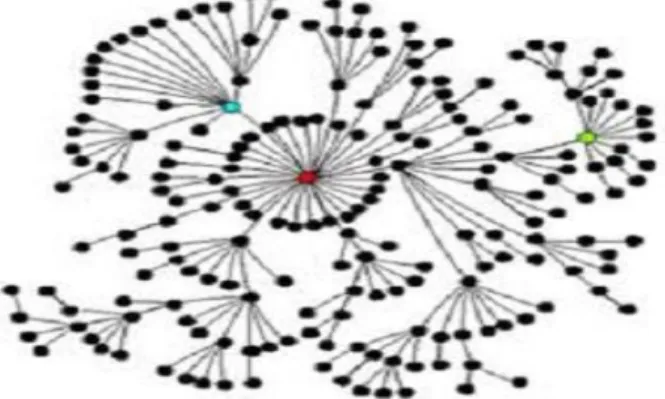 Figure 3. Scale-free Graph, Grown by Attaching New Nodes at Random to  Previously Existing Nodes 