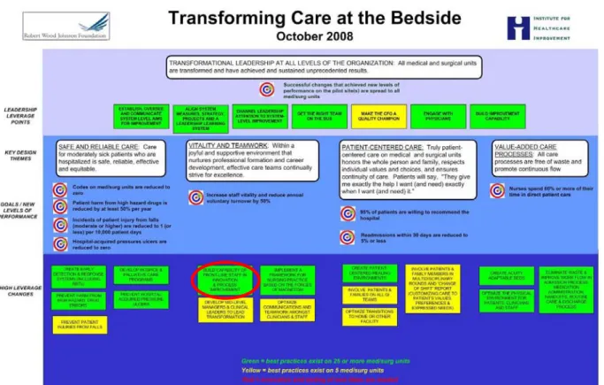 Figure 1: The Transforming Care at the Bedside Framework 