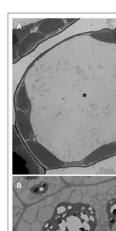 FIGURE 1 |Transmission electron microscope images of Arabidopsisleaf (A) and seed (B) cells.PSVs