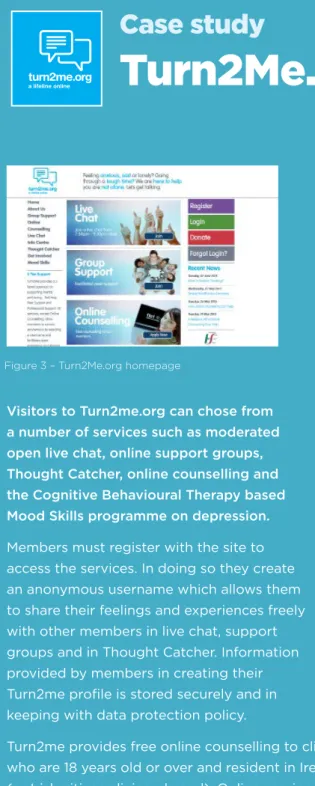 Figure 3 – Turn2Me.org homepage