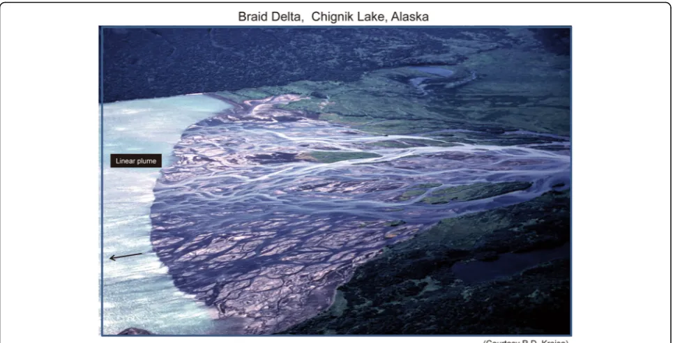 Fig. 6 Braid delta from Chignik Lake, southeastern coast, Alaska, showing multiple entry points with shooting “linear” hyperpycnal plumes into astanding body of water