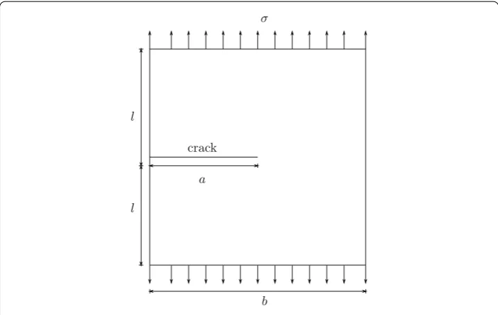 Fig. 4 Two-dimensional edge crack. This ﬁgure presents the geometry for a two-dimensional crack used totest HNA