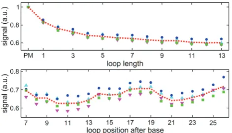 Figure 5. Signal intensity as a function of loop length and position,hybridization temperature 317 K.