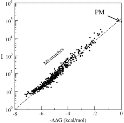 Figure 7. Comparison between the experimental data and the model.