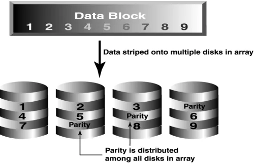Figure 1: RAID 5 format