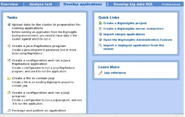 Figure 4. Develop applications tab of the BigInsights Task Launcher